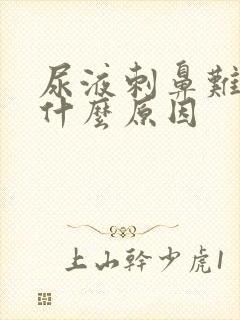 尿液刺鼻难闻是什么原因