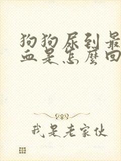 狗狗尿到最后尿血是怎么回事