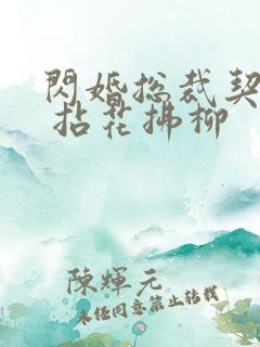 闪婚总裁契约妻 拈花拂柳