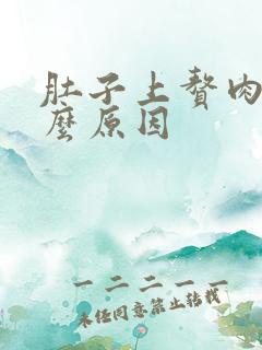 肚子上赘肉多什么原因