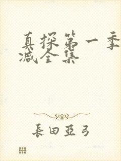 真探第一季无删减全集