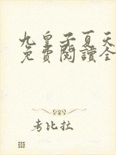 九皇子夏天小说免费阅读全文无弹窗