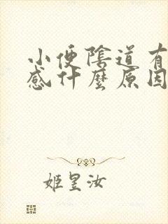 小便阴道有刺痛感什么原因