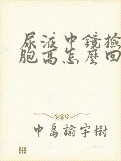 尿液中镜检白细胞高怎么回事