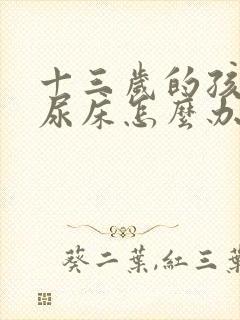 十三岁的孩子总尿床怎么办