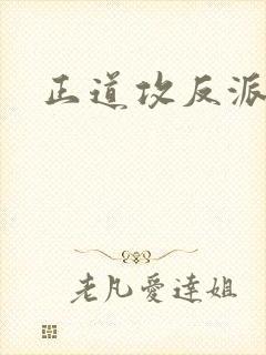 正道攻反派受