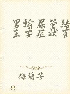 男输尿管结石的主要症状有哪些