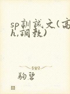 sp训诫文(高h,调教)