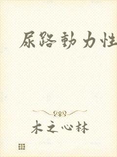 尿路动力性梗阻