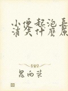 小便起泡长久不消失什么原因