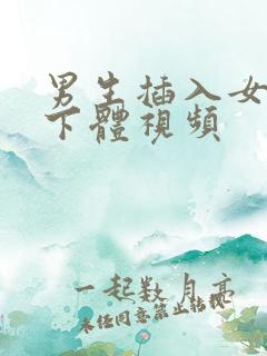 男生插入女生的下体视频