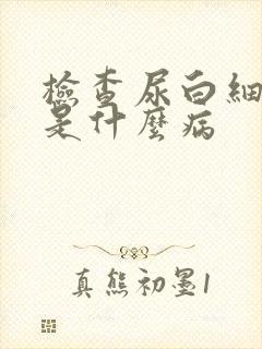 检查尿白细胞高是什么病