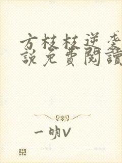 方枝枝逆袭记小说免费阅读无弹窗