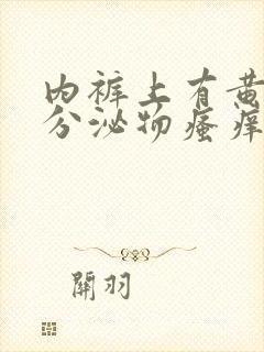 内裤上有黄黄的分泌物瘙痒是怎么回事