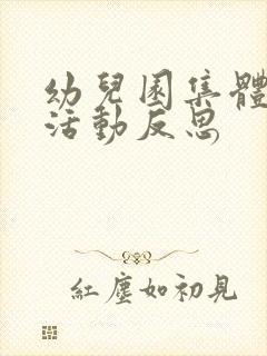 幼儿园集体教学活动反思