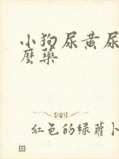 小狗尿黄尿吃什么药