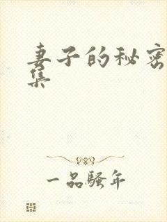 妻子的秘密第3集