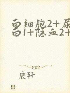 白细胞2+尿蛋白1+隐血2+