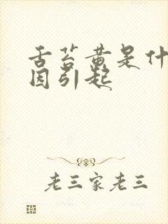 舌苔黄是什么原因引起