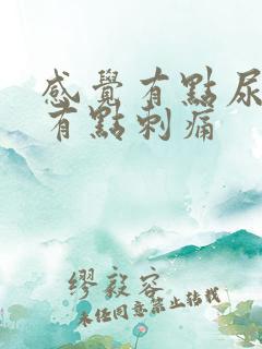 感觉有点尿不尽有点刺痛