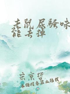 老鼠尿骚味怎么能去掉