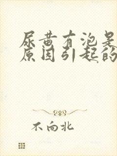 尿黄有泡是什么原因引起的