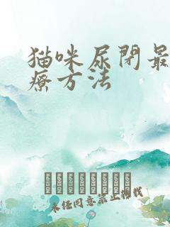 猫咪尿闭最佳治疗方法