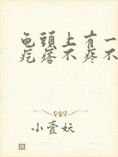 龟头上有一些小疙瘩不疼不痒