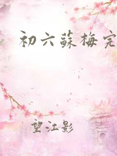初六苏梅完整版