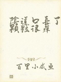 阴道口长了白色颗粒很痒