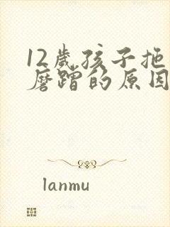 12岁孩子拖拉磨蹭的原因及解决办法