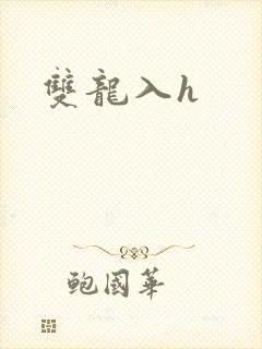 双龙入h