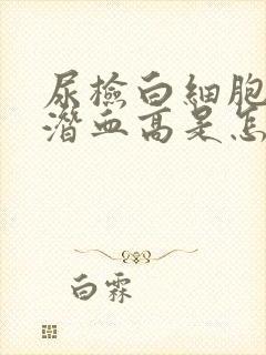 尿检白细胞和尿潜血高是怎么回事