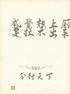 感觉想上厕所但是拉不出来什么原因