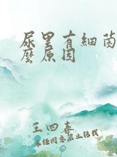 尿里有细菌是什么原因