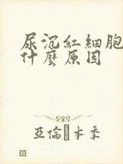 尿沉红细胞高是什么原因