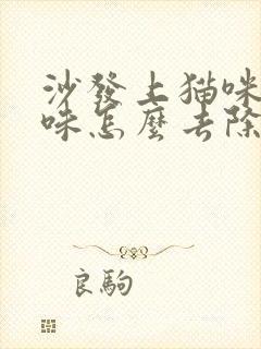 沙发上猫咪尿骚味怎么去除