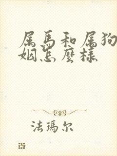 属马和属狗的婚姻怎么样