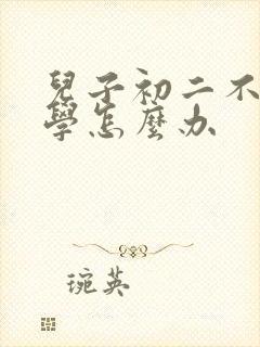 儿子初二不想上学怎么办