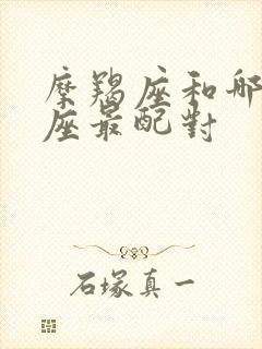 摩羯座和哪个星座最配对