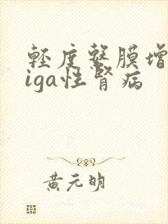 轻度系膜增生性iga性肾病