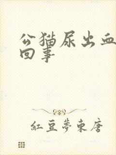 公猫尿出血怎么回事