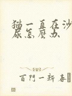 猫一直在沙发上尿怎么办