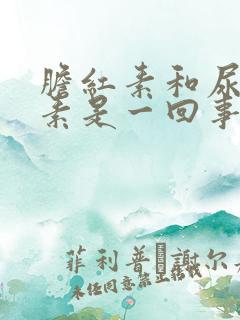 胆红素和尿胆红素是一回事吗