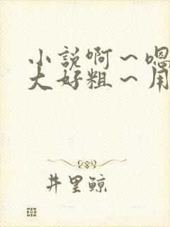 小说啊～嗯～好大好粗～用力插