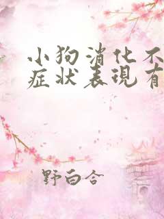 小狗消化不良的症状表现有哪些