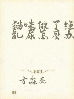 猫咪做了绝育还乱尿怎么办