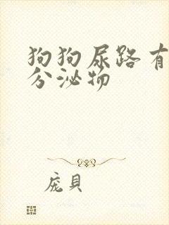 狗狗尿路有黄色分泌物