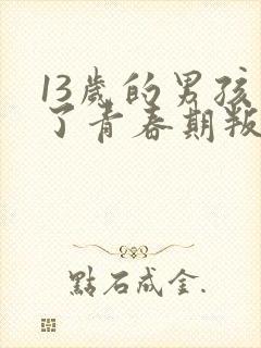 13岁的男孩到了青春期叛逆怎么教