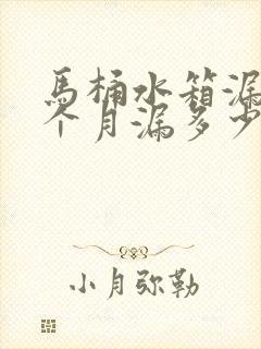 马桶水箱漏水一个月漏多少吨